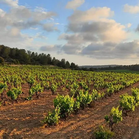 公寓 Anima Del Garraf *