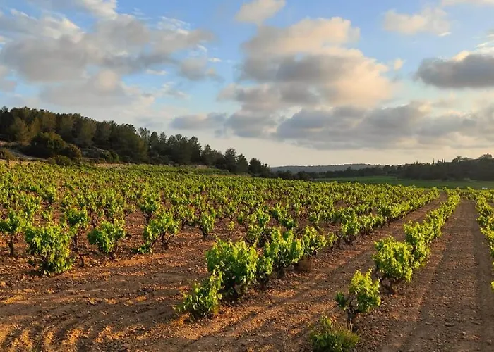 Appartement Anima Del Garraf *