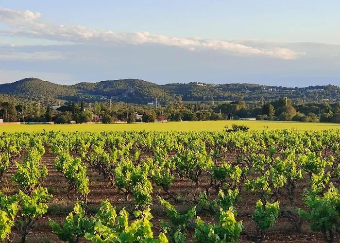 Appartement ànima Del Garraf
